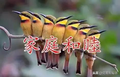 祝福家人幸福快乐的句子图片 祝福家人幸福快乐的句子图片