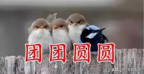 祝福家人幸福快乐的句子图片 祝福家人幸福快乐的句子图片