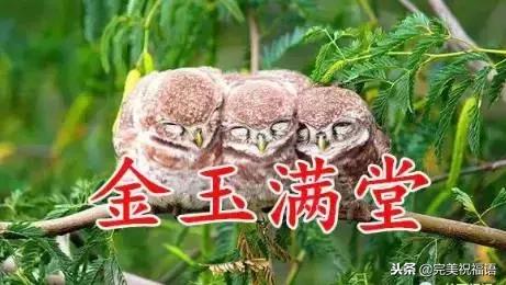 祝福家人幸福快乐的句子图片 祝福家人幸福快乐的句子图片