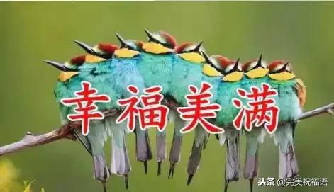 祝福家人幸福快乐的句子图片 祝福家人幸福快乐的句子图片