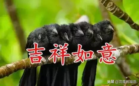 祝福家人幸福快乐的句子图片 祝福家人幸福快乐的句子图片