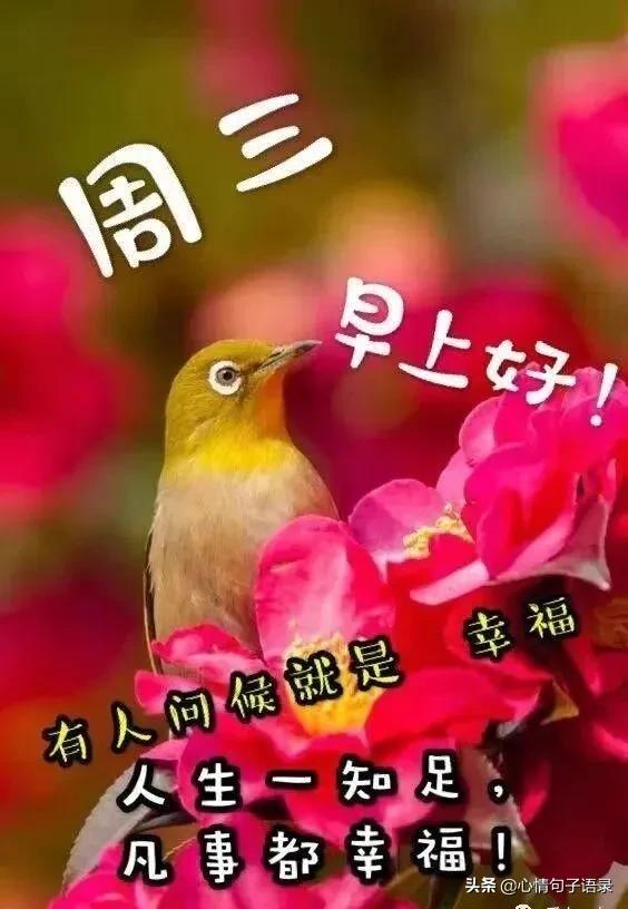 现在知足幸福用句子表达 现在知足幸福用句子表达
