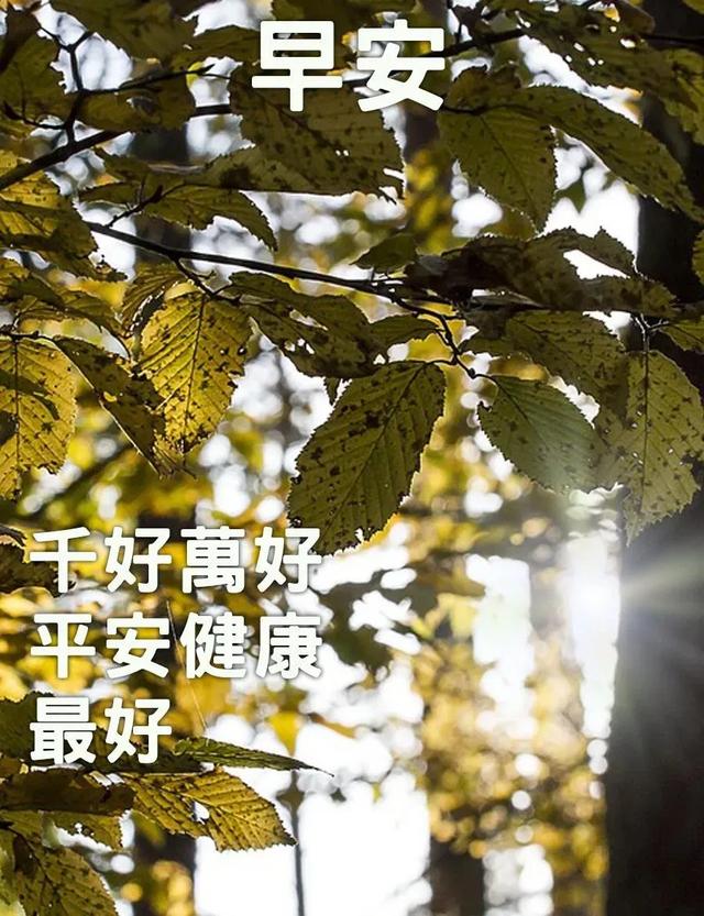 祝福开心甜蜜幸福的句子 祝福开心甜蜜幸福的句子