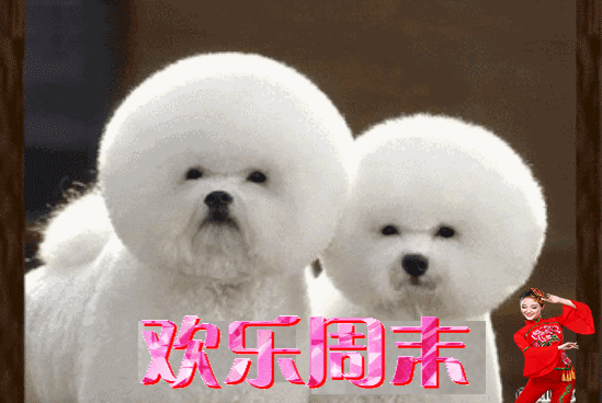 祝福开心甜蜜幸福的句子 祝福开心甜蜜幸福的句子