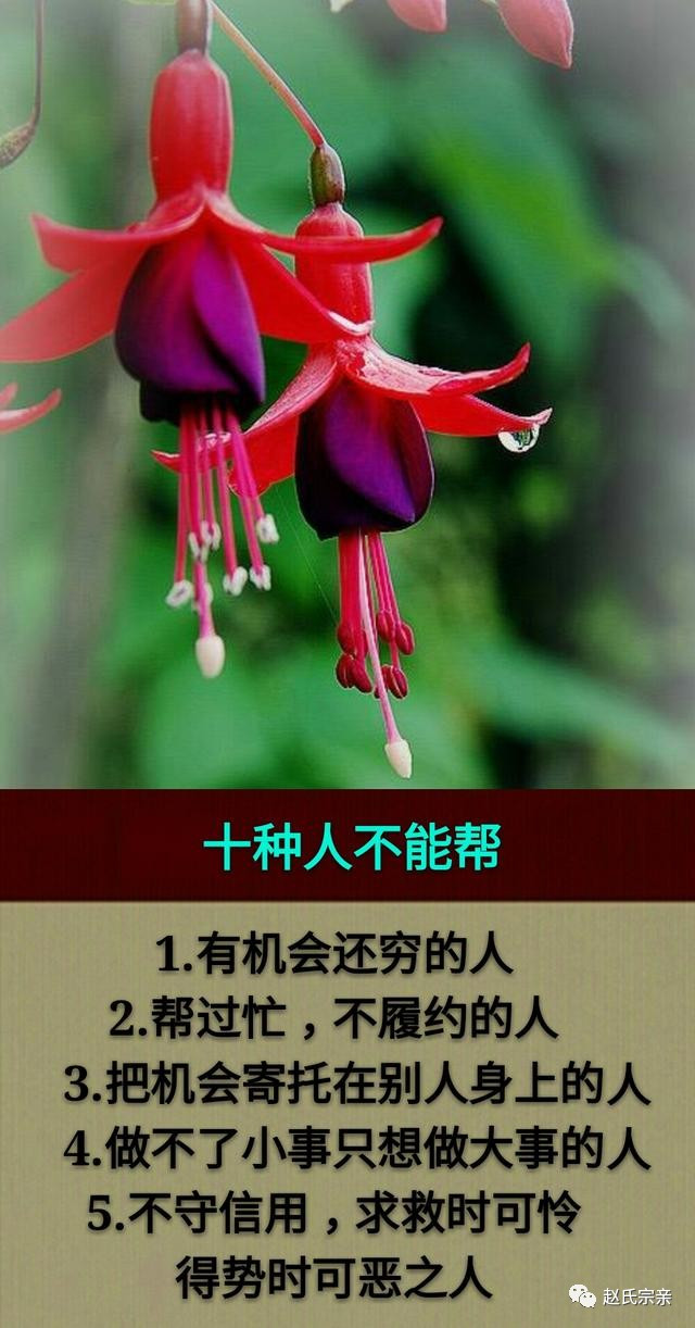 低调而又霸气的句子八个字_(低调霸气的句子简短)