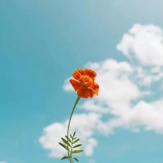 唯美幸福句子说说心情_(晒幸福的句子简短)