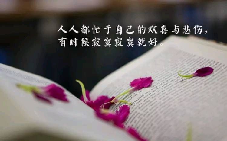 关于心情的句子短句子_(24句经典人生感悟句子)