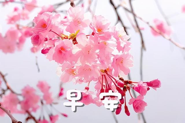 表示幸福的句子和好词好句有哪些 表示幸福的句子和好词好句有哪些