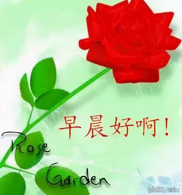 表示幸福的句子和好词好句有哪些 表示幸福的句子和好词好句有哪些