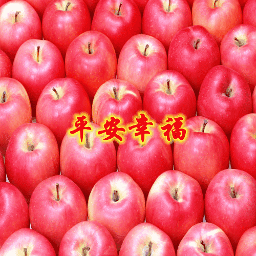 今天是又顺又发日，最好运的祝福送给你，祝你吉祥、快乐、幸福！