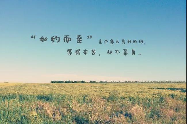 表达幸福的句子简短_(表达幸福的唯美句子)