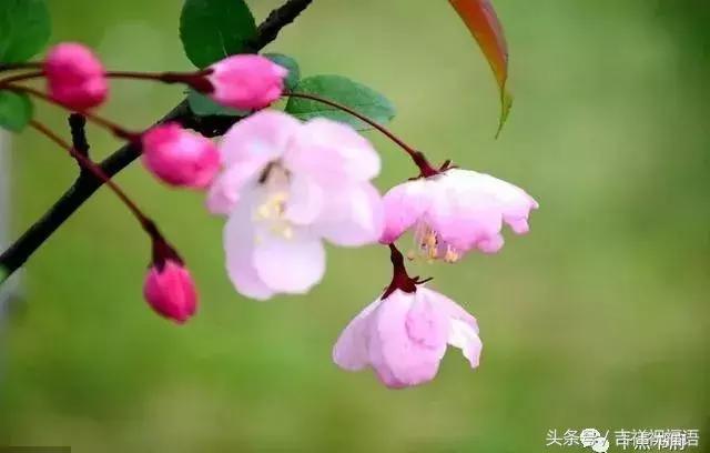 表示一家人幸福的句子 表示一家人幸福的句子