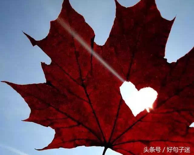 微信幸福个性签名,最适合发到朋友圈的句子!