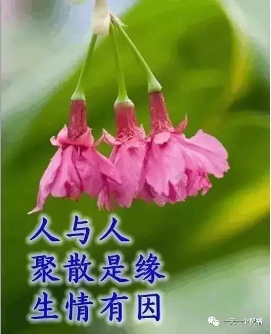 形容幸福快乐的句子(形容幸福快乐的句子经典)