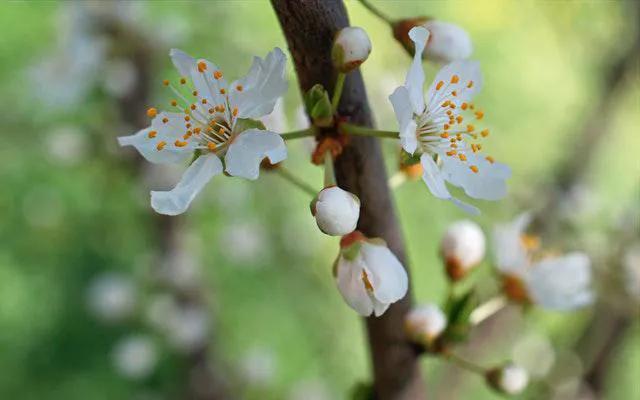 幸福的句子甜蜜情侣的10个字以上 幸福的句子甜蜜情侣的10个字以上