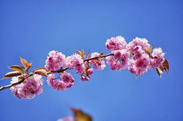 幸福的句子甜蜜情侣的10个字以上 幸福的句子甜蜜情侣的10个字以上