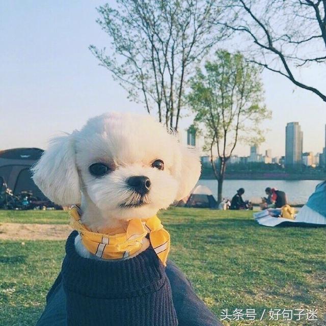 个性签名幸福的句子 个性签名幸福的句子