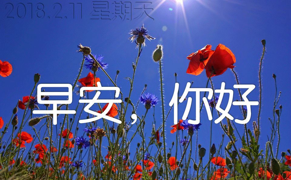 婚后幸福的句子朋友圈_(晒结婚照简短文字)