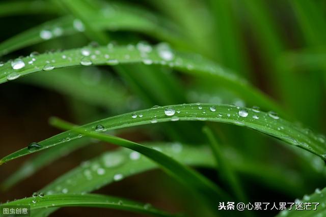 人生感悟经典句子,忍是一种人生的技巧