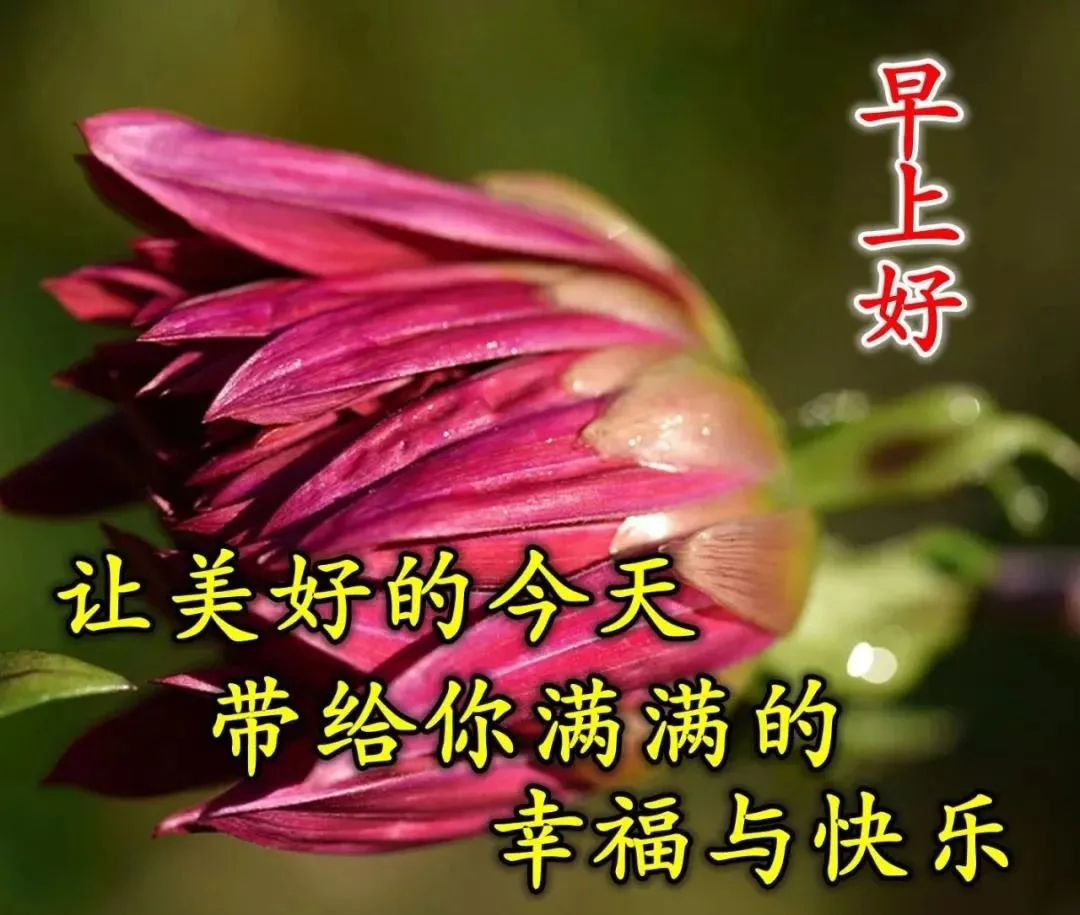 4月11日周未早晨温馨的早安祝福语句,微信早上漂亮的问候表情图片-句子橘 4月11日周未早晨温馨的早安祝福语句,微信早上漂亮的问候表情图片-句子橘
