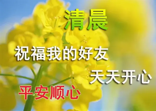 4月11日周未早晨温馨的早安祝福语句,微信早上漂亮的问候表情图片-句子橘 4月11日周未早晨温馨的早安祝福语句,微信早上漂亮的问候表情图片-句子橘