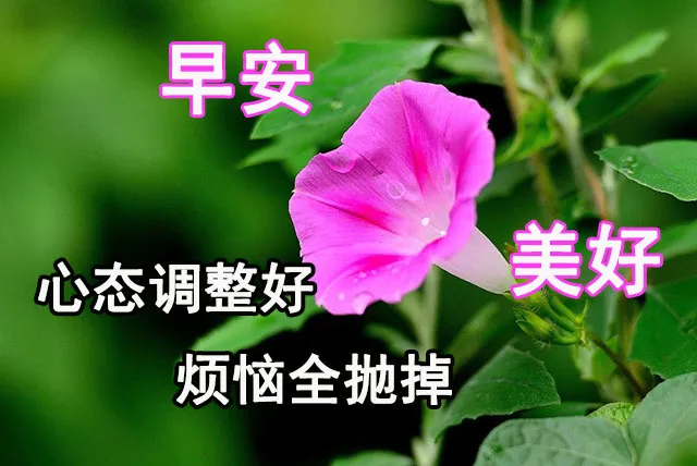 4月11日周未早晨温馨的早安祝福语句,微信早上漂亮的问候表情图片-句子橘 4月11日周未早晨温馨的早安祝福语句,微信早上漂亮的问候表情图片-句子橘