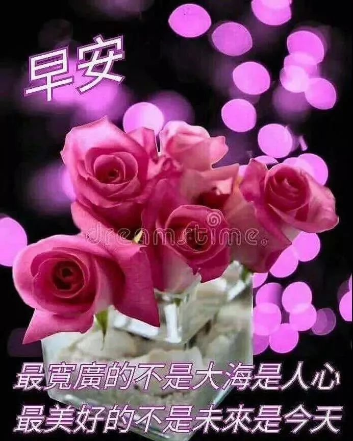 早上好问候语温馨句子2021最好看早上好图片大全-句子橘 早上好问候语温馨句子2021最好看早上好图片大全-句子橘