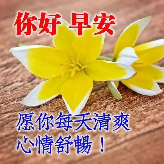 早上好问候语温馨句子2021最好看早上好图片大全-句子橘 早上好问候语温馨句子2021最好看早上好图片大全-句子橘