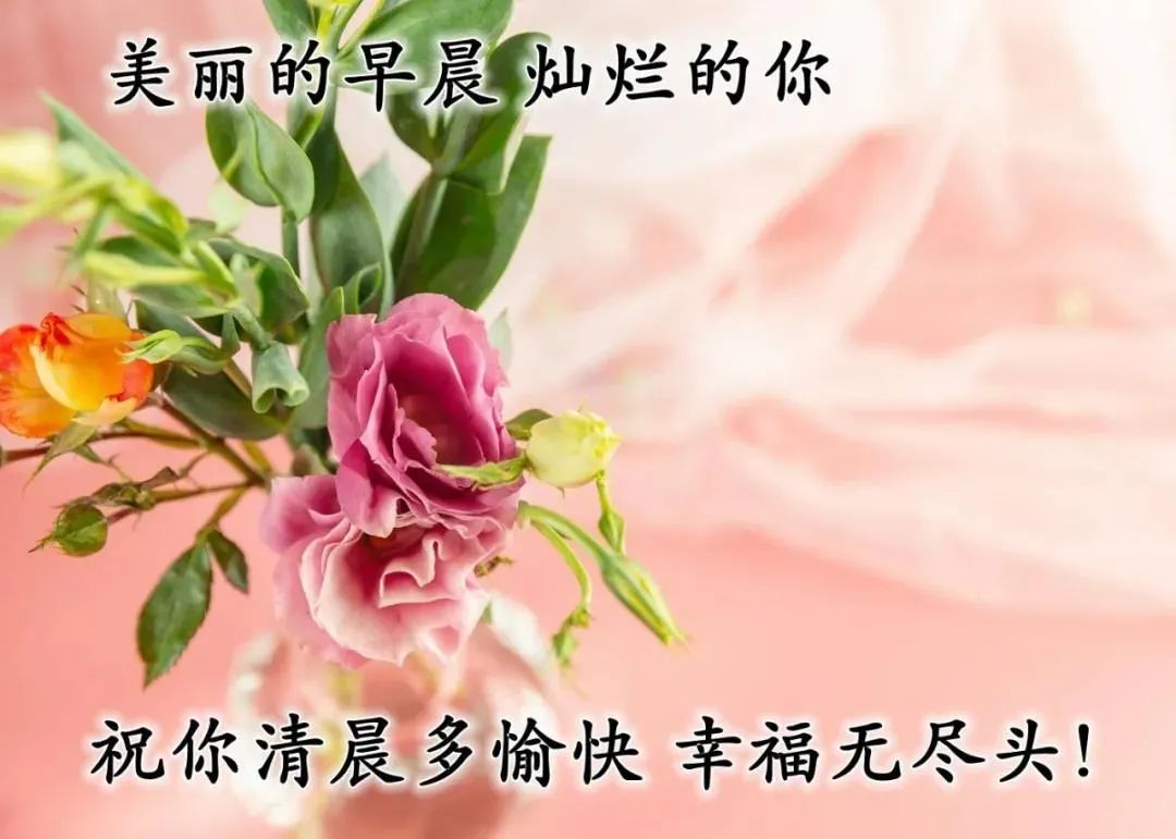 微信最美早上好祝福语,问候早安的温馨语句带漂亮早安图片-句子橘 微信最美早上好祝福语,问候早安的温馨语句带漂亮早安图片-句子橘