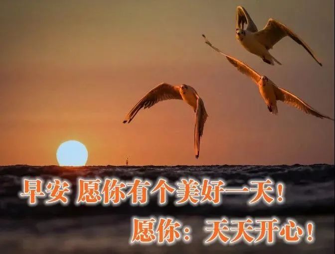 微信最美早上好祝福语,问候早安的温馨语句带漂亮早安图片-句子橘 微信最美早上好祝福语,问候早安的温馨语句带漂亮早安图片-句子橘