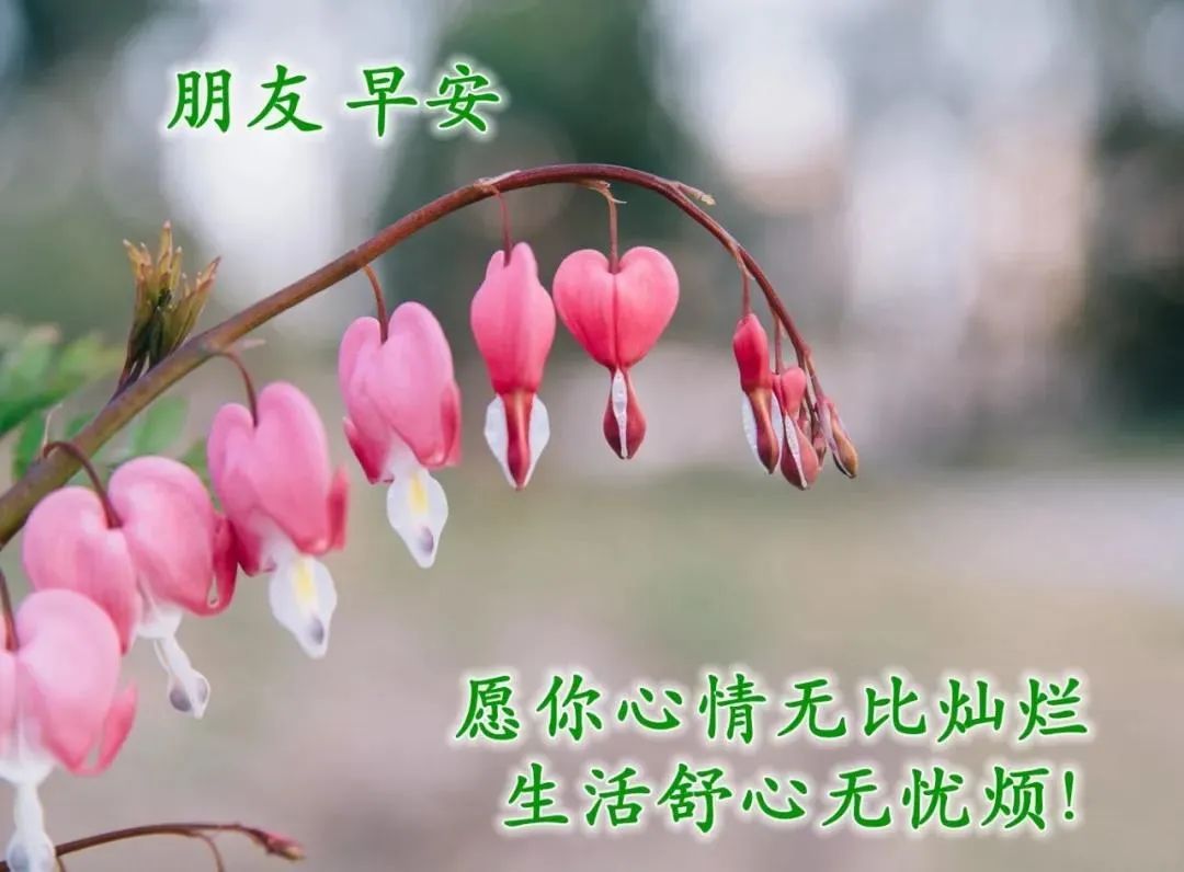 微信最美早上好祝福语,问候早安的温馨语句带漂亮早安图片-句子橘 微信最美早上好祝福语,问候早安的温馨语句带漂亮早安图片-句子橘