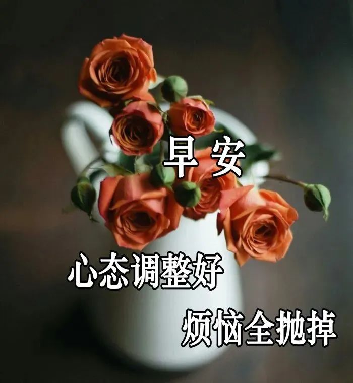 清晨早上好问候语温馨句子,2021最好看早上好图片大全-句子橘 清晨早上好问候语温馨句子,2021最好看早上好图片大全-句子橘