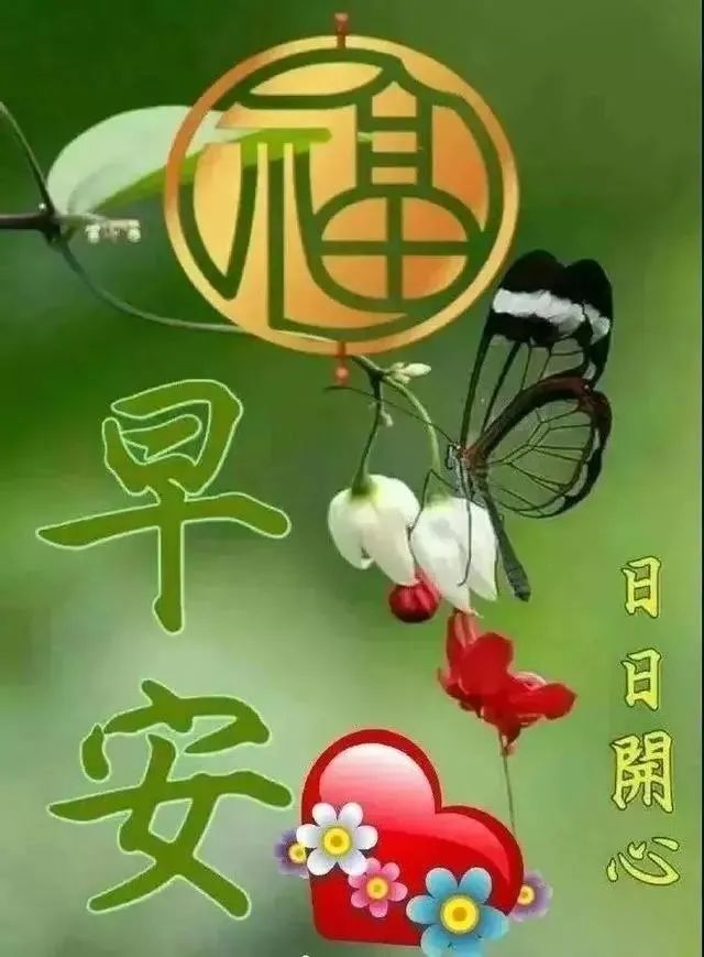 清晨早上好问候语温馨句子,2021最好看早上好图片大全-句子橘 清晨早上好问候语温馨句子,2021最好看早上好图片大全-句子橘
