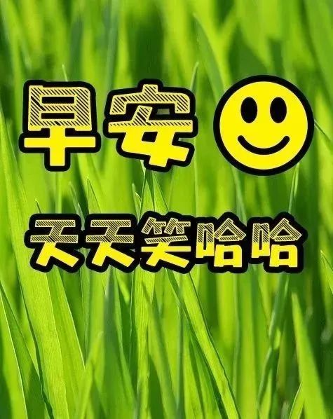 清晨早上好问候语温馨句子,2021最好看早上好图片大全-句子橘 清晨早上好问候语温馨句子,2021最好看早上好图片大全-句子橘