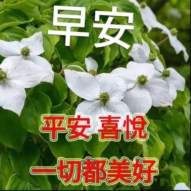 清晨早上好问候语温馨句子,2021最好看早上好图片大全-句子橘 清晨早上好问候语温馨句子,2021最好看早上好图片大全-句子橘