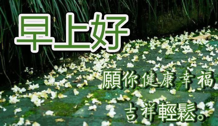 清晨早上好问候语温馨句子,2021最好看早上好图片大全-句子橘 清晨早上好问候语温馨句子,2021最好看早上好图片大全-句子橘