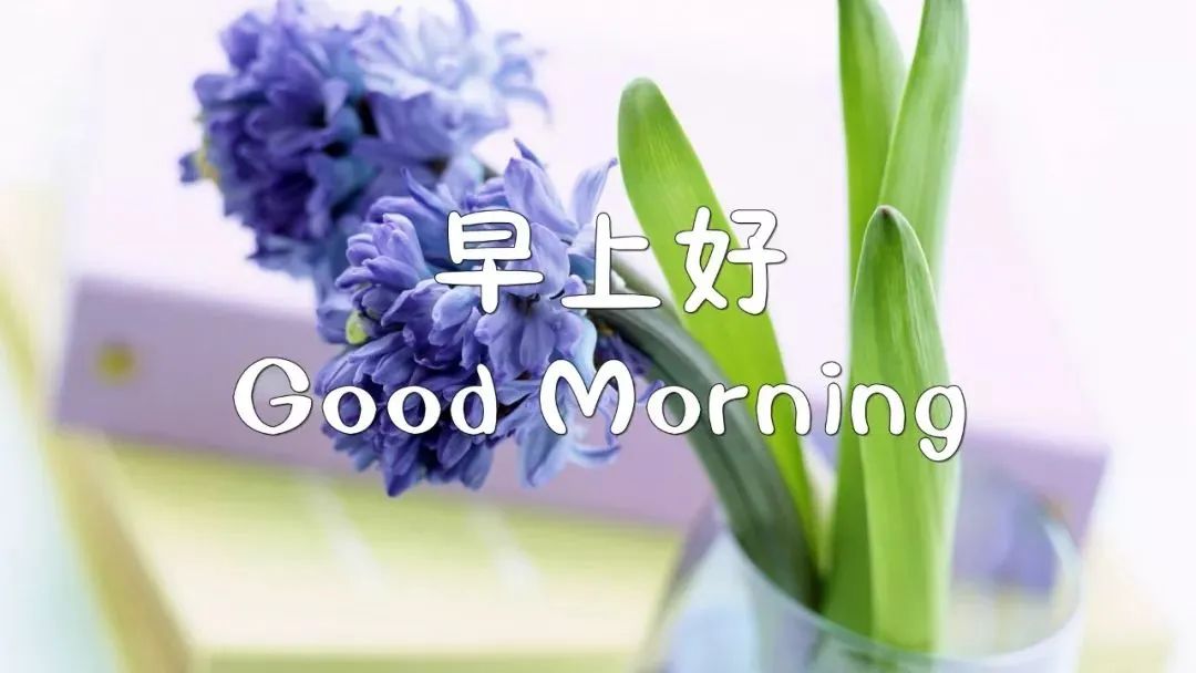清晨早上好问候语温馨句子,2021最好看早上好图片大全-句子橘 清晨早上好问候语温馨句子,2021最好看早上好图片大全-句子橘