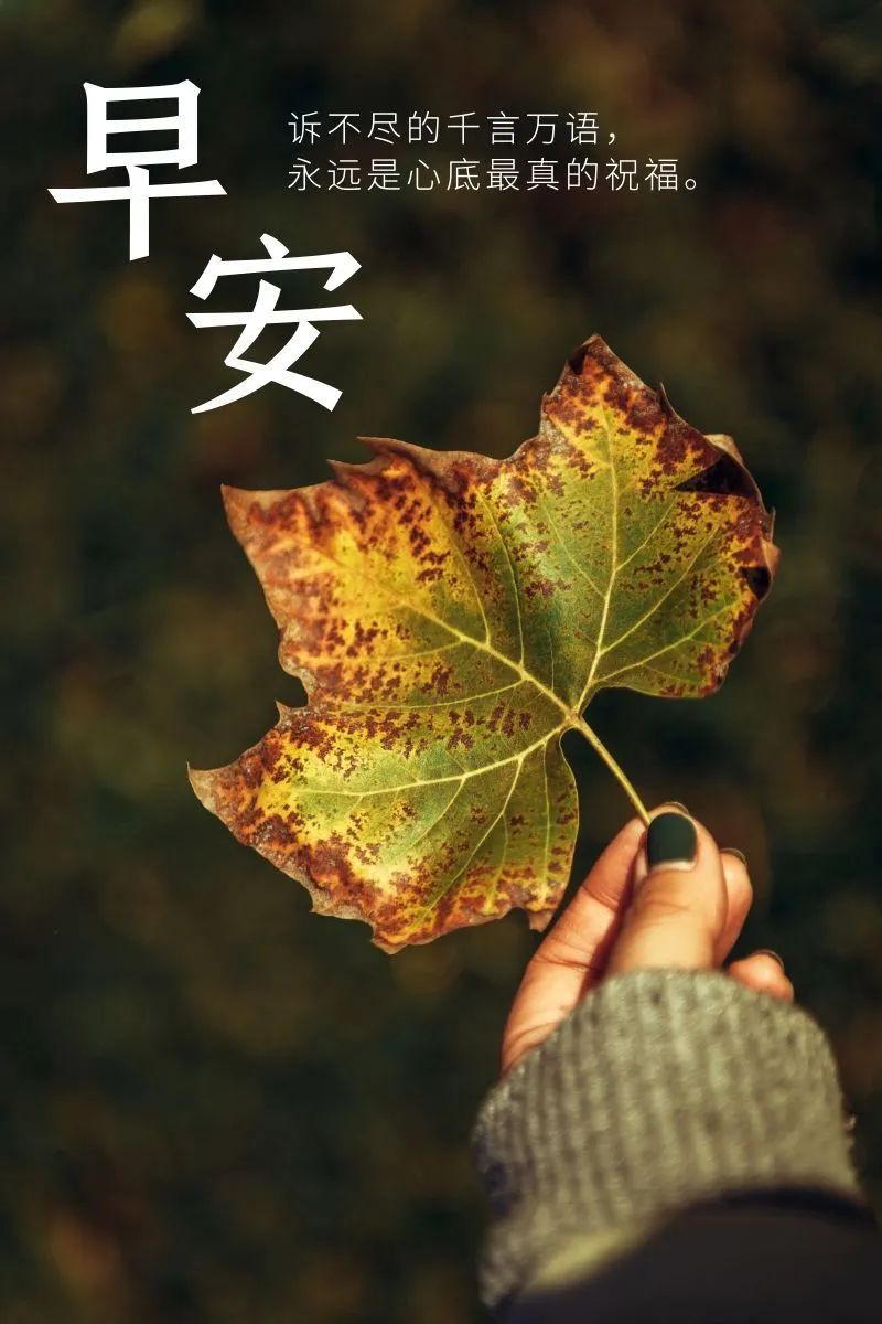 清晨的阳光唯美句子,温馨早安短语-句子橘 清晨的阳光唯美句子,温馨早安短语-句子橘