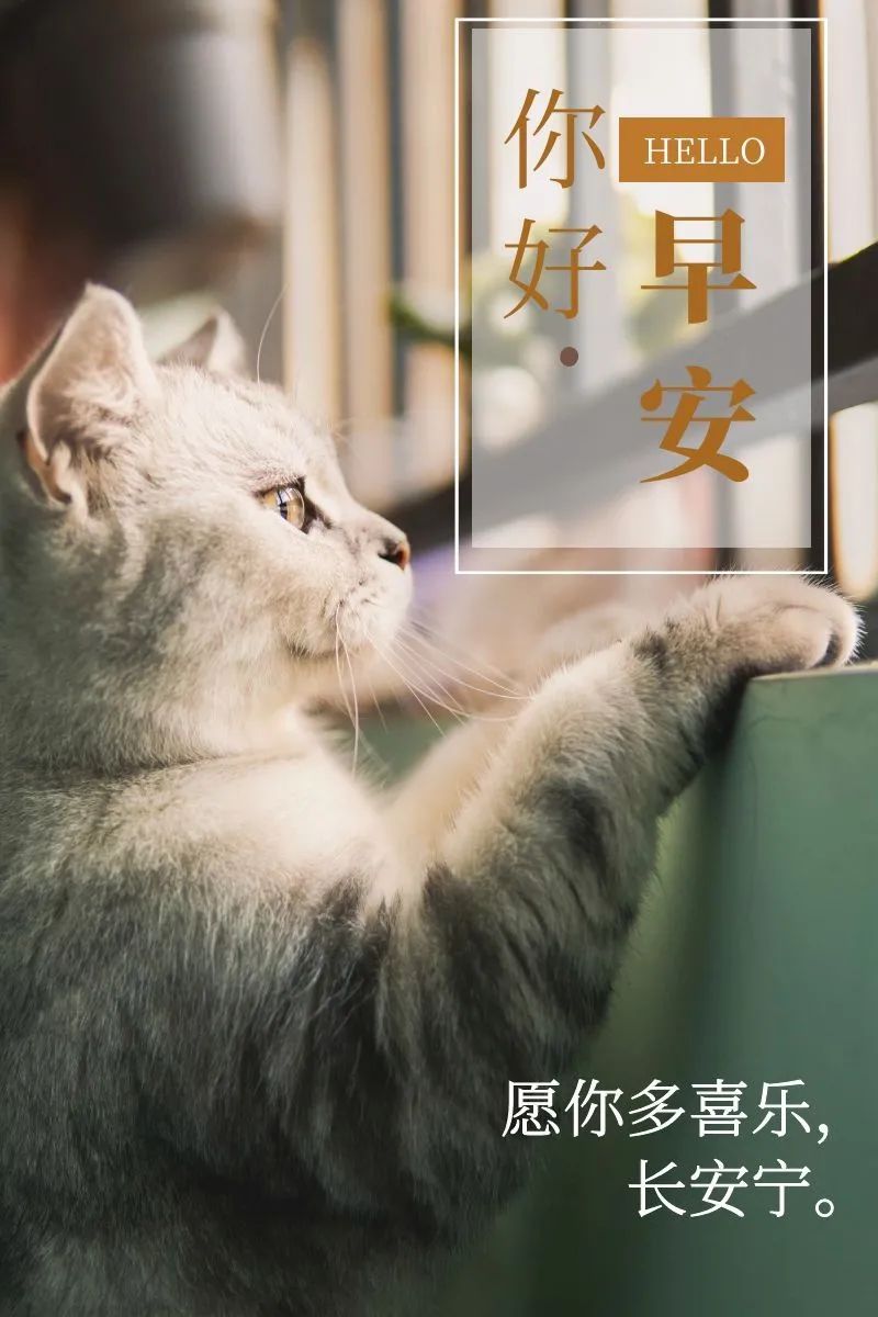 清晨的阳光唯美句子,温馨早安短语-句子橘 清晨的阳光唯美句子,温馨早安短语-句子橘
