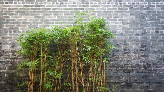 梦参长老30句法语,每一句都让人醍醐灌顶
