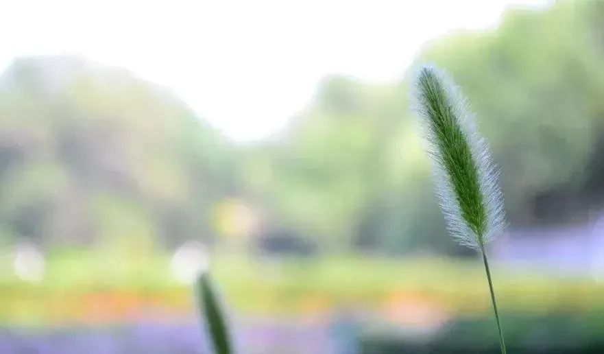 晚安最美的心情说说温馨晚安心语感悟人生的句子简短-句子橘 晚安最美的心情说说温馨晚安心语感悟人生的句子简短-句子橘