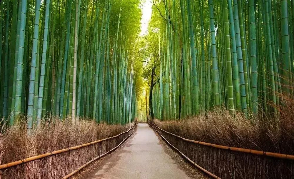 晚安最美的心情说说温馨晚安心语感悟人生的句子简短-句子橘 晚安最美的心情说说温馨晚安心语感悟人生的句子简短-句子橘