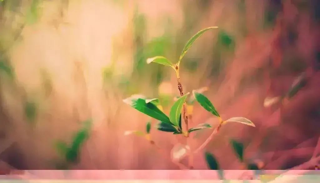 晚安最美的心情说说温馨晚安心语感悟人生的句子简短-句子橘 晚安最美的心情说说温馨晚安心语感悟人生的句子简短-句子橘