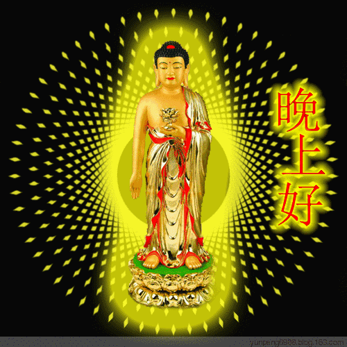 适合睡前群发问候晚上好说晚上好温馨句子动态图-句子橘 适合睡前群发问候晚上好说晚上好温馨句子动态图-句子橘