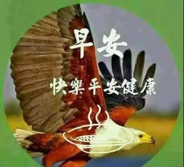 2021微信最新早安温馨祝福句子,2021清晨最美早晨好祝福语集锦-句子橘 2021微信最新早安温馨祝福句子,2021清晨最美早晨好祝福语集锦-句子橘