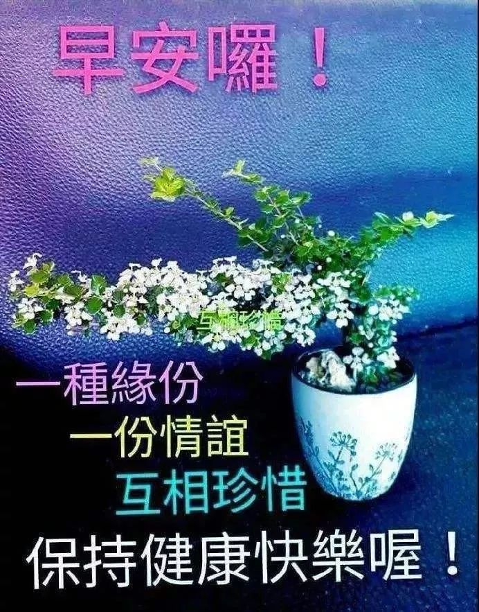 2021微信最新早安温馨祝福句子,2021清晨最美早晨好祝福语集锦-句子橘 2021微信最新早安温馨祝福句子,2021清晨最美早晨好祝福语集锦-句子橘
