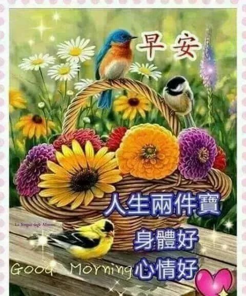 温馨早安问候语大全祝福语句子,温馨早安问候语图片带字动态表情祝福朋友-句子橘 温馨早安问候语大全祝福语句子,温馨早安问候语图片带字动态表情祝福朋友-句子橘