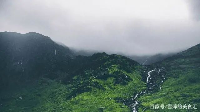 晚安心语温馨的句子,句句铿锵,让人心动-句子橘 晚安心语温馨的句子,句句铿锵,让人心动-句子橘