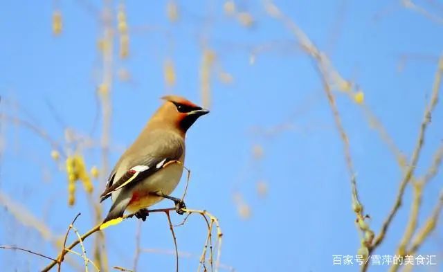 晚安心语温馨的句子,句句铿锵,让人心动-句子橘 晚安心语温馨的句子,句句铿锵,让人心动-句子橘