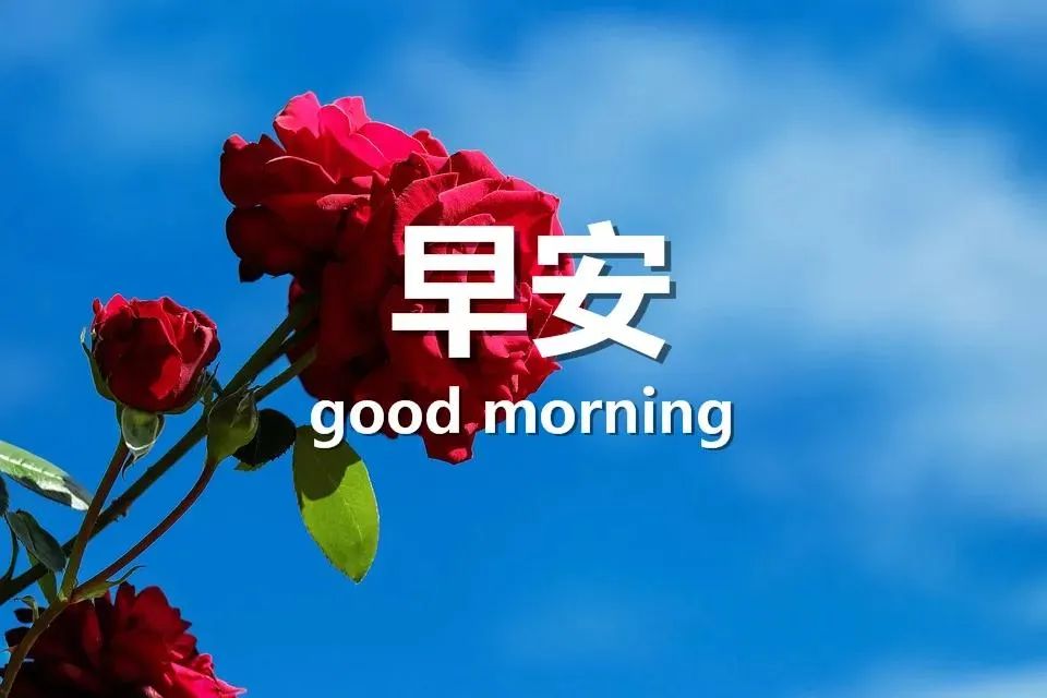 微信朋友圈早安正能量经典语句-句子橘 微信朋友圈早安正能量经典语句-句子橘